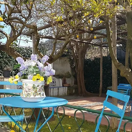 Regina Di Capri - Maria - Villa *