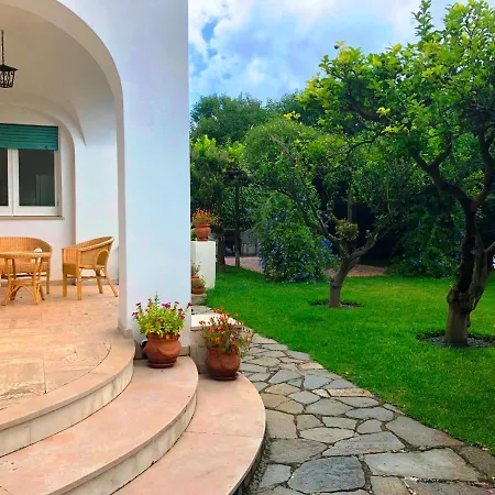 Regina Di Capri - Maria - Villa Anacapri (Isola di Capri)