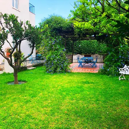 Villa Regina Di Capri - Maria - Anacapri (Isola di Capri)